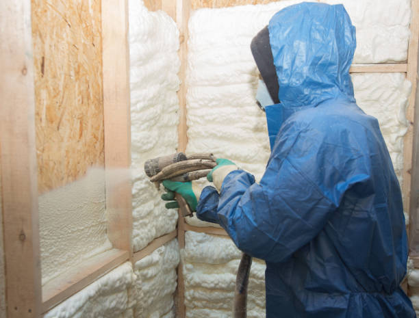 Types of Insulation We Offer in Bloomingdale, FL